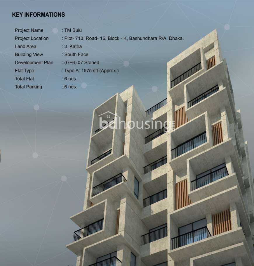 TM Bulu, Apartment/Flats at Bashundhara R/A