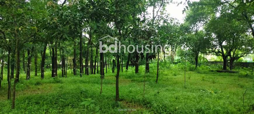 Protik Gazipur- Masterbari, Commercial Plot at Gazipur Sadar