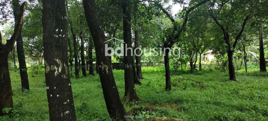 Protik Gazipur- Masterbari, Commercial Plot at Konabari