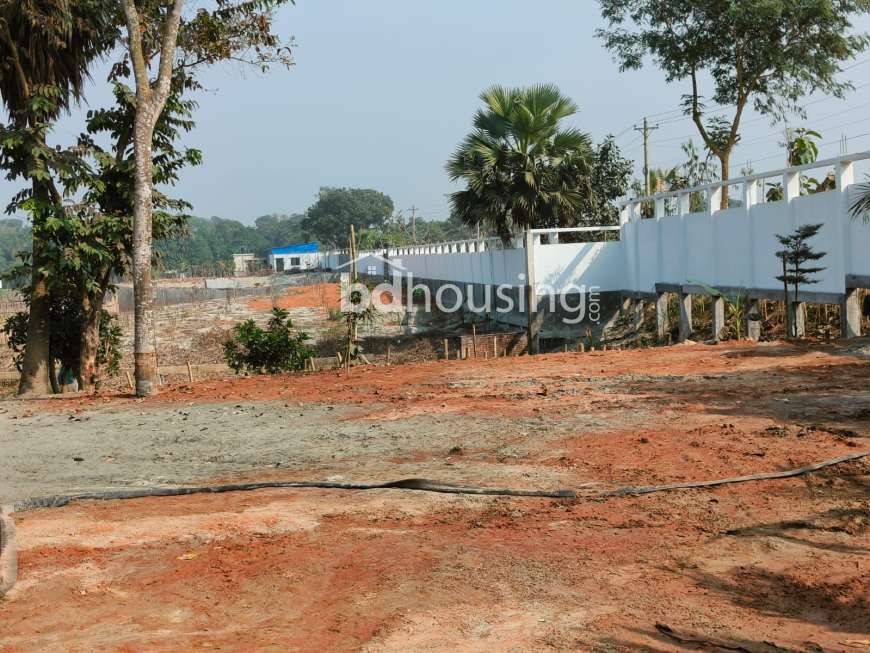 Pine City, Residential Plot at Purbachal