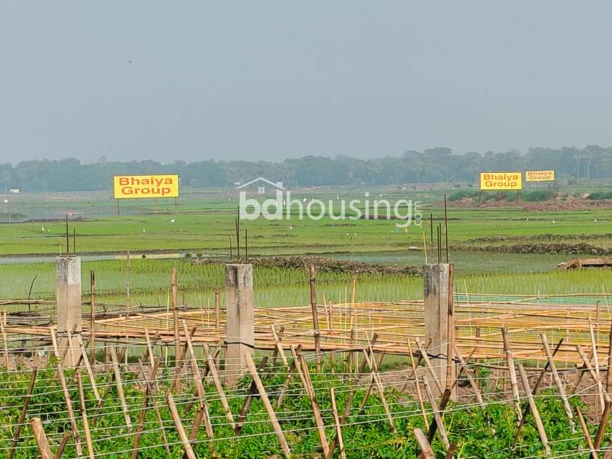 Tulip Valley, Residential Plot at Purbachal