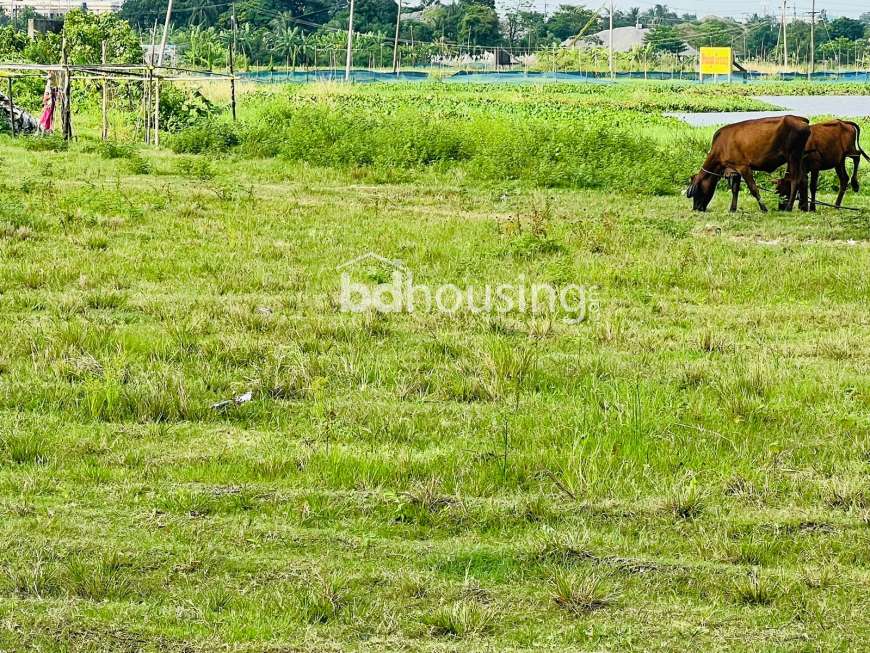 Tulip Valley, Residential Plot at Purbachal