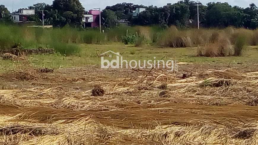 Ready Land, Residential Plot at Keraniganj