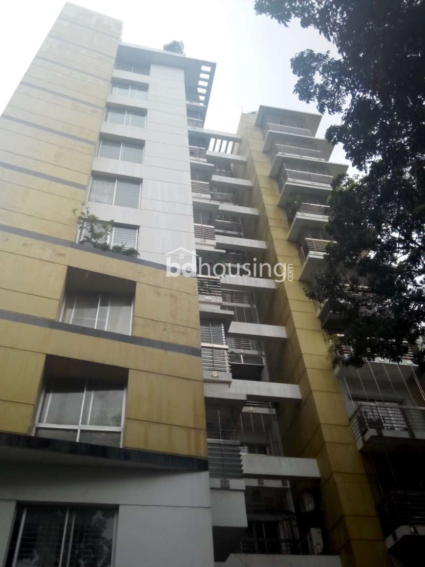 BANANI   EXCLUSIVE SOUTH - EAST @ BLOCK- A, Apartment/Flats at Banani