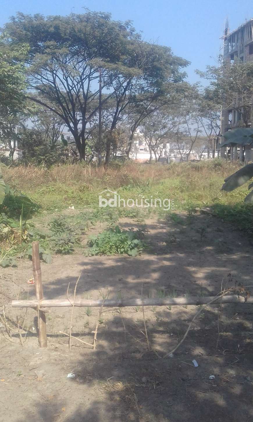 Basabo Land Sale, Residential Plot at Basabo