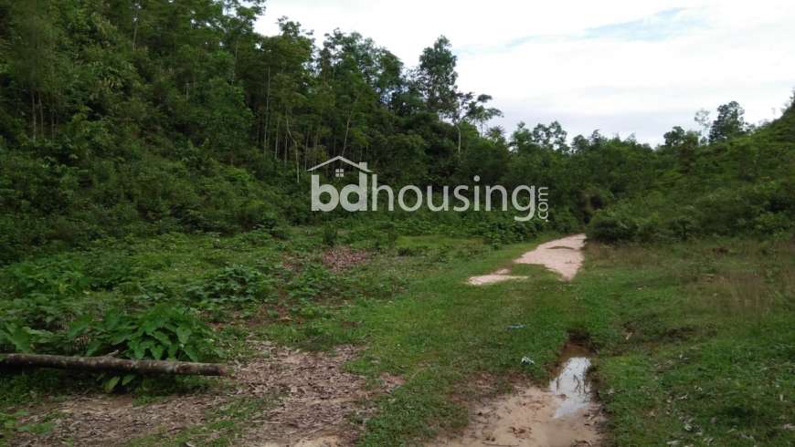 1400 Katha Land in sylhet District , Commercial Plot at Rashid Chattar