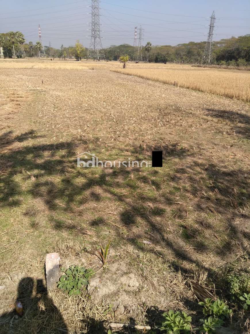 Belayet Hosen, Agriculture/Farm Land at Garden Road, Karwanbazar