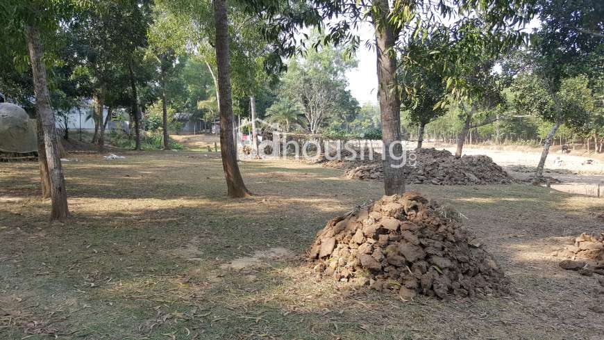 Siddiq ey jahan , Residential Plot at Mirzapur