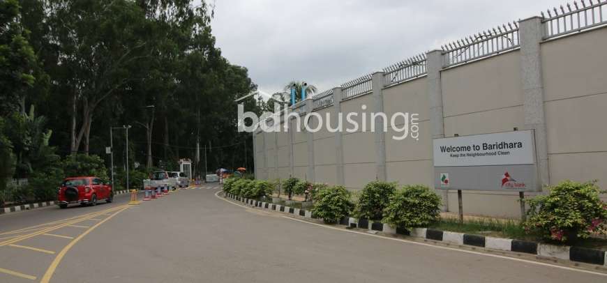 Land for sale at Baridhara., Residential Plot at Baridhara