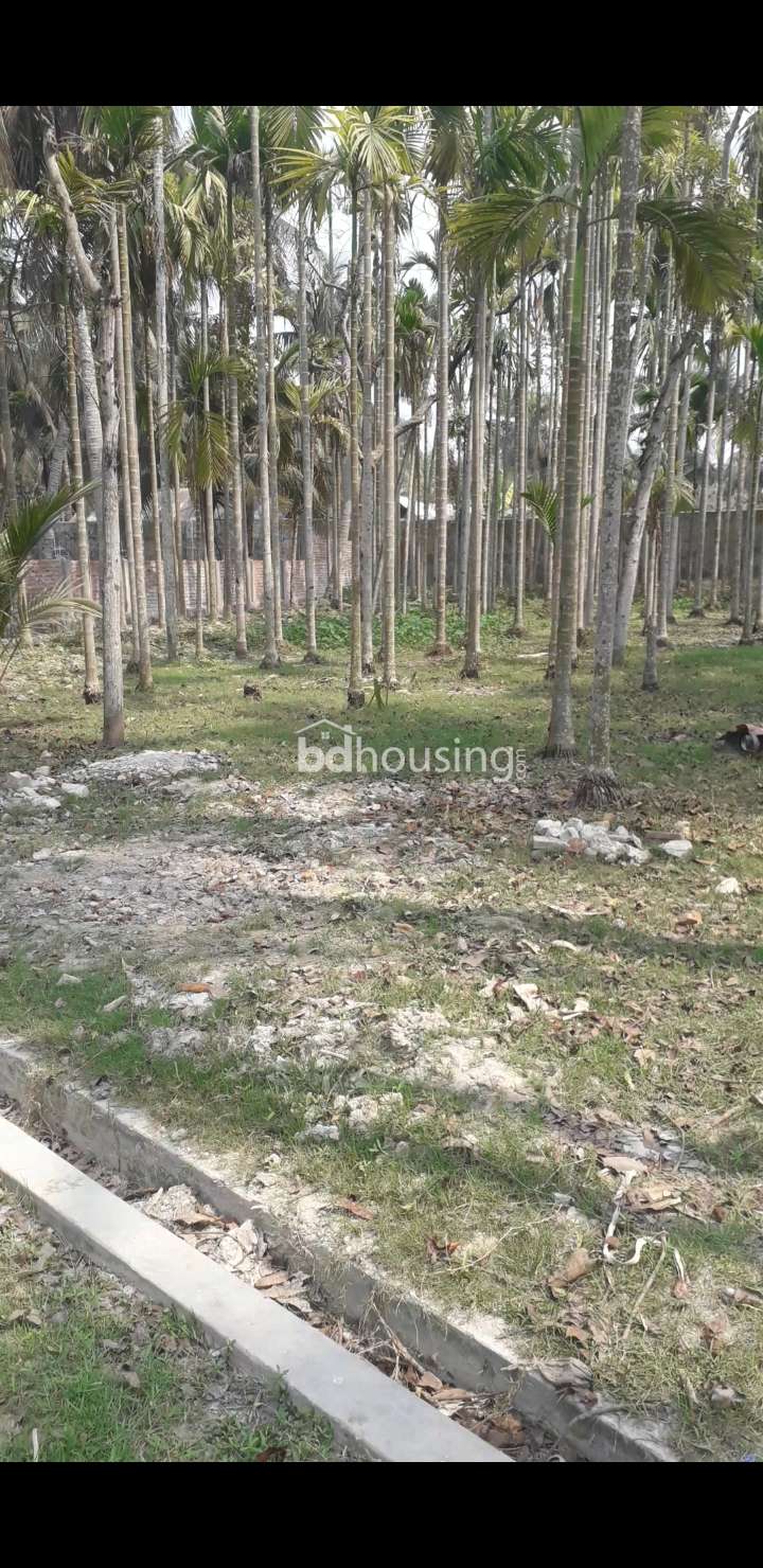 High Land, Commercial Plot at Sonadanga