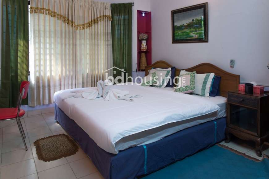Babylon 2 Bed Small Full Furnished Apartment, Apartment/Flats at Baridhara