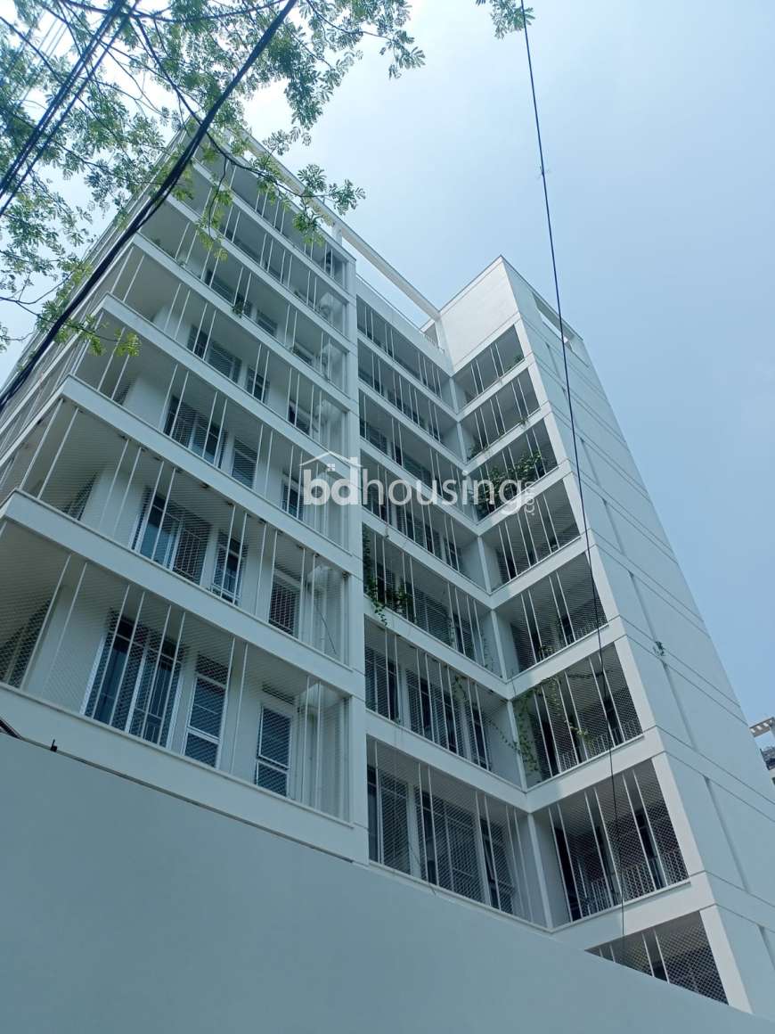 Trinoo, Apartment/Flats at Bashundhara R/A