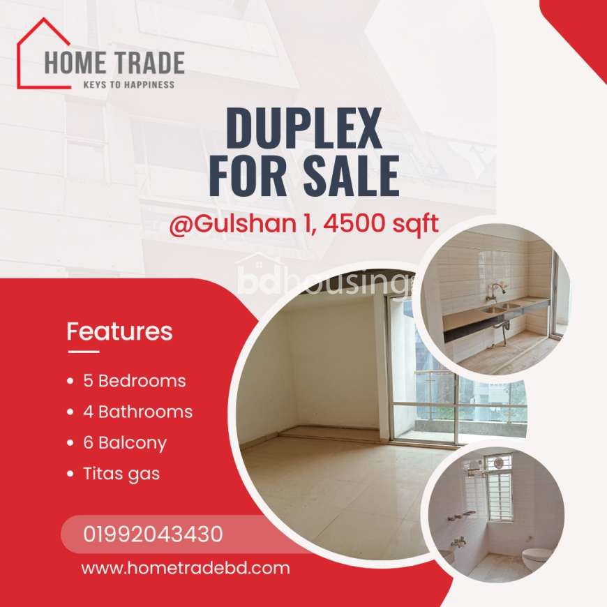 Gulshan 1, Duplex Home at Gulshan 01