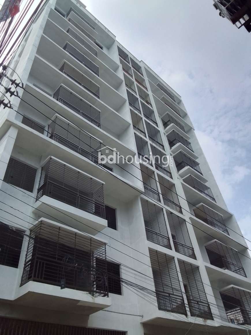 D- Rangdhanu, Apartment/Flats at Mohammadpur