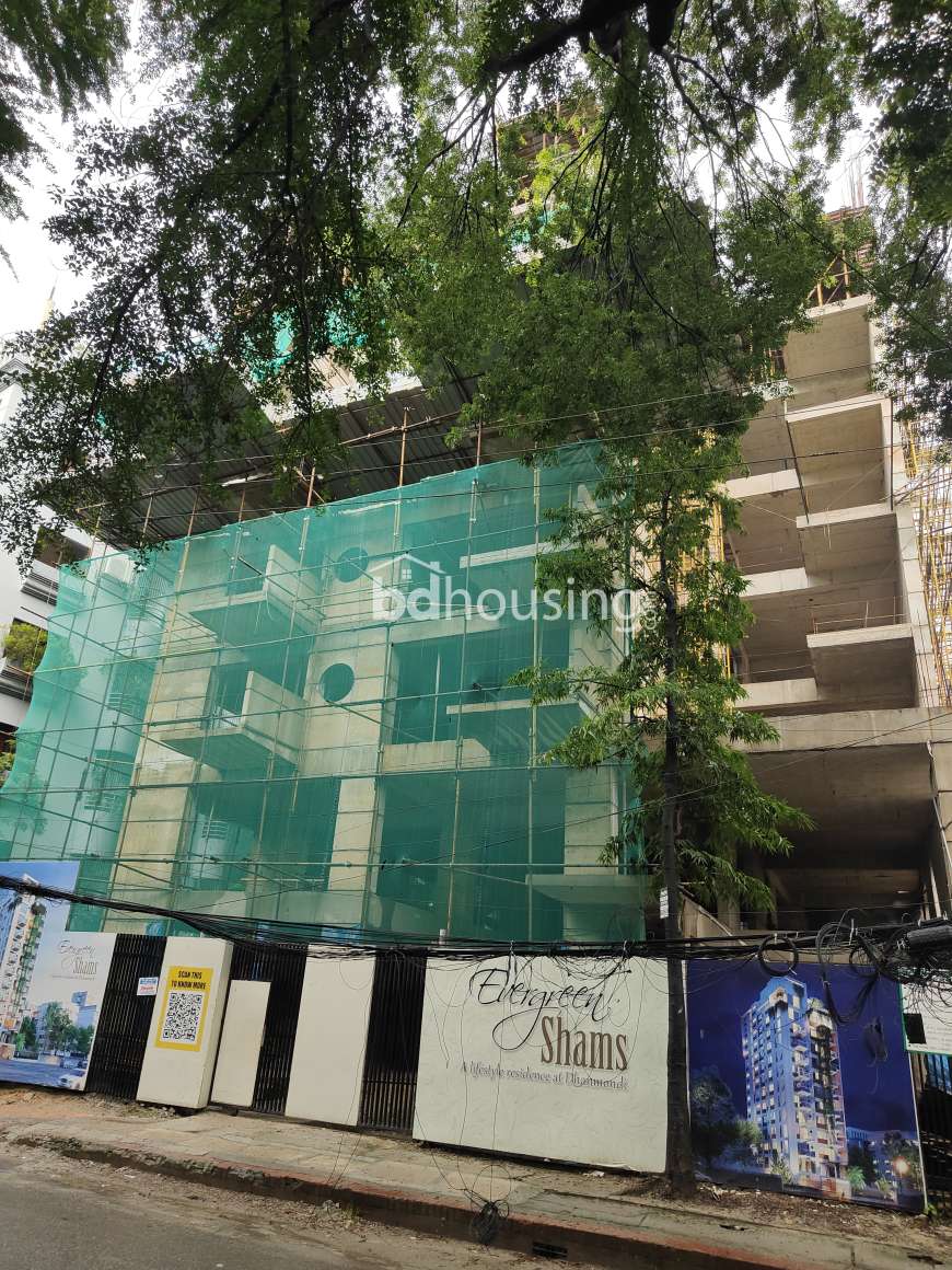 Evergreen Shams , Apartment/Flats at Dhanmondi