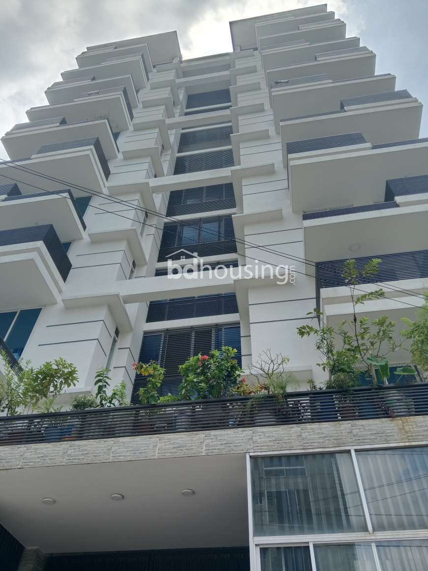 2380 sft , Apartment/Flats at Bashundhara R/A