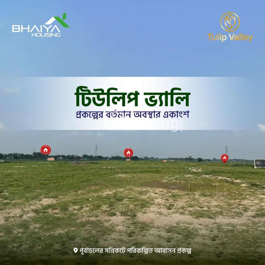 টিউলিপ ভ্যালি , Residential Plot at Purbachal