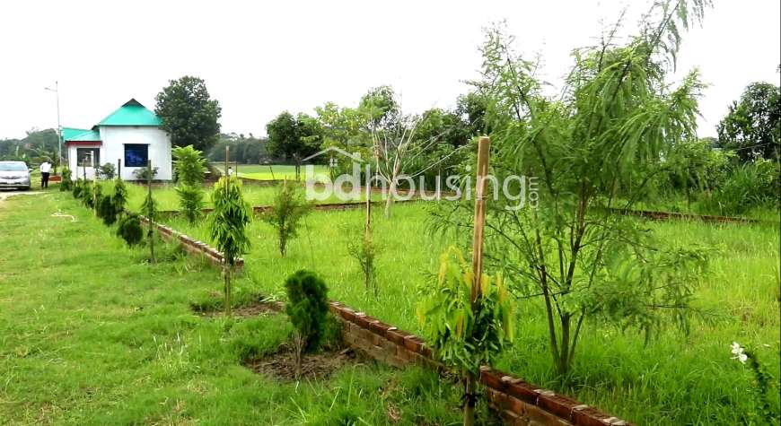 Swapnabhumi Abason, Residential Plot at Purbachal