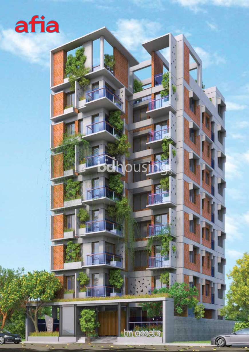 TM Afia, Apartment/Flats at Bashundhara R/A