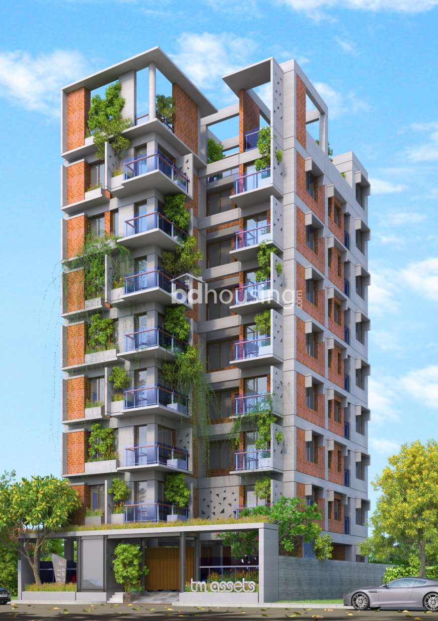 TM Afia, Apartment/Flats at Bashundhara R/A