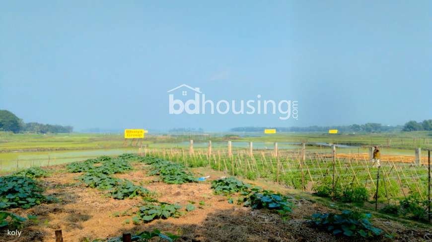 Pine City, Residential Plot at Purbachal