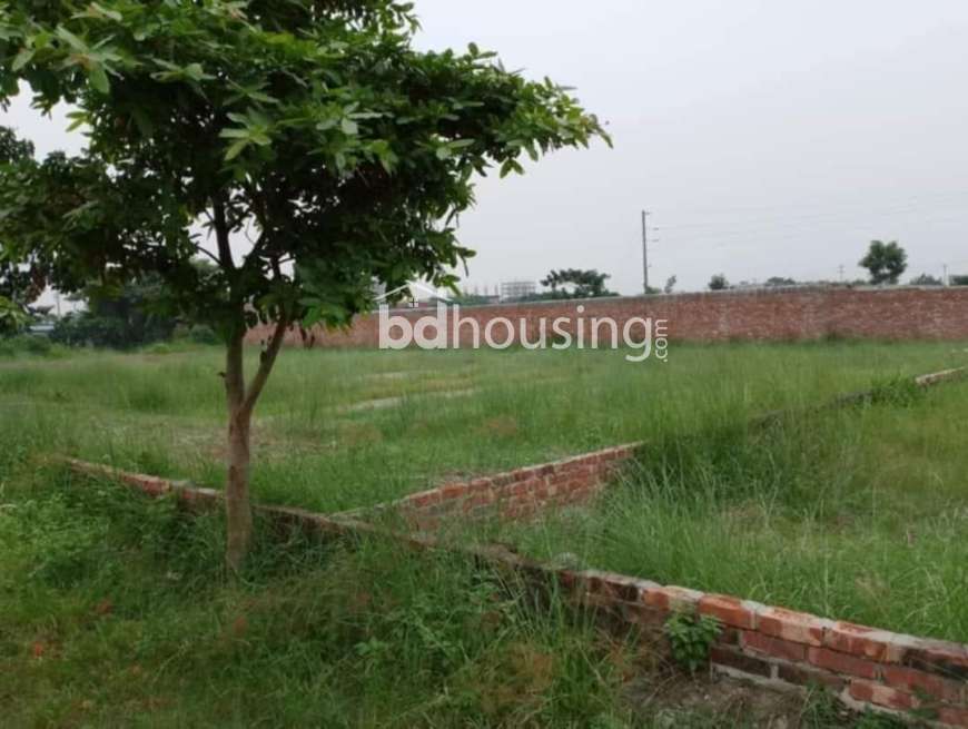 Modhu city, Residential Plot at Mohammadpur