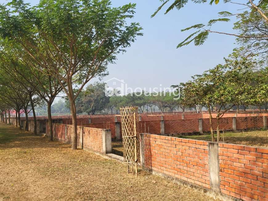 Plot, Residential Plot at Purbachal