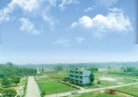 5 katha, Ready  Residential Plot for Sale at Purbachal Residential Plot at 