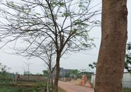 3 katha, Ready  Residential Plot for Sale at Mohammadpur Residential Plot at 