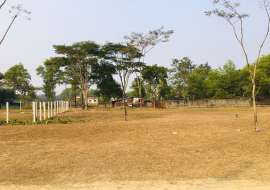 10 katha, Ready  Residential Plot for Sale at Bateshwar Residential Plot at 