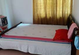 900 sqft, 2  Beds  Apartment/Flats for Rent at Mohammadpur Apartment/Flats at 