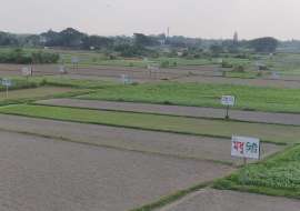 3 katha, Under Development  Residential Plot for Sale at Mohammadpur Residential Plot at 