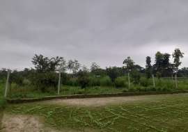 6 katha, Ready  Residential Plot for Sale at Keraniganj Residential Plot at 