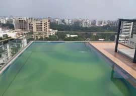 4200 sqft, 4  Beds  Apartment/Flats for Rent at Gulshan 02 Apartment/Flats at 