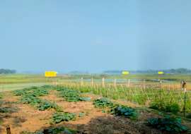 3,5,10,20 katha, Under Development  Residential Plot for Sale at Purbachal Sec-27 Residential Plot at 