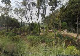 185 katha, Ready  Commercial Plot for Sale at Karatia Commercial Plot at 