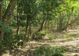 64 katha, Ready Land for Sale at Lobon Chora Agriculture/Farm Land at 