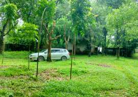 240 katha, Ready  Commercial Plot for Sale at Gazipur Sadar Commercial Plot at 