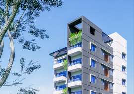 EXCLUSIVE SPACIOUS APARTMENT SELLING @ D BLOCK BASHUNDHARA   Apartment/Flats at 