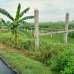 5 Katha Land ( Residential/ Commercial), Commercial Plot images 