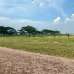 3 Katha Land for sale @Green Model Town, Amin Mohammed Group, Residential Plot images 