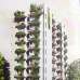 D Lavenders, Apartment/Flats images 