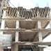 Assort Afroja Garden, Apartment/Flats images 