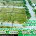 Commercial Plot, Sohid Nagar Abashik Prakalpa, Commercial Plot images 