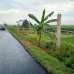 5 Katha Land ( Residential/ Commercial), Commercial Plot images 